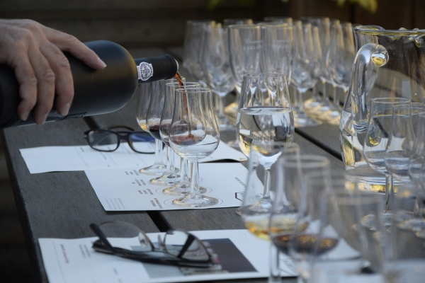 WSET Award in Wines - certificati con noi!